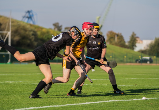 Hurling-Dresden-2017-11