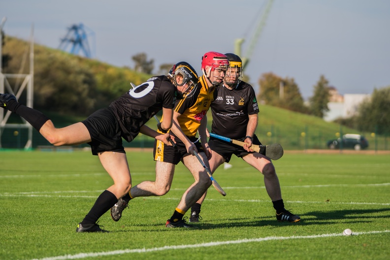 Hurling-Dresden-2017-11.jpg