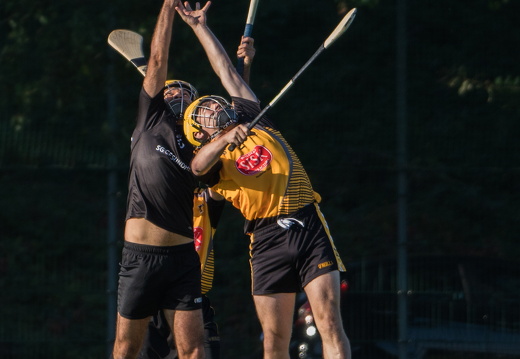 Hurling-Dresden-2017-12