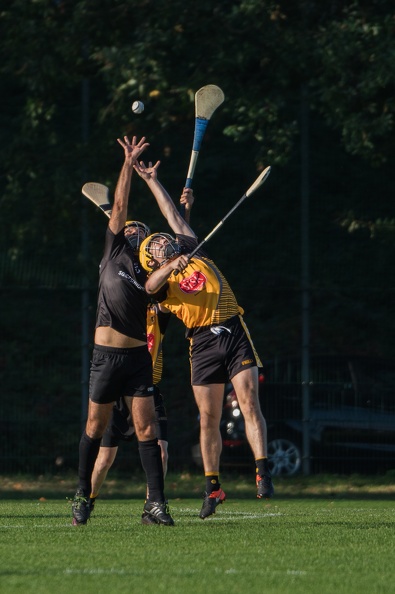 Hurling-Dresden-2017-12.jpg