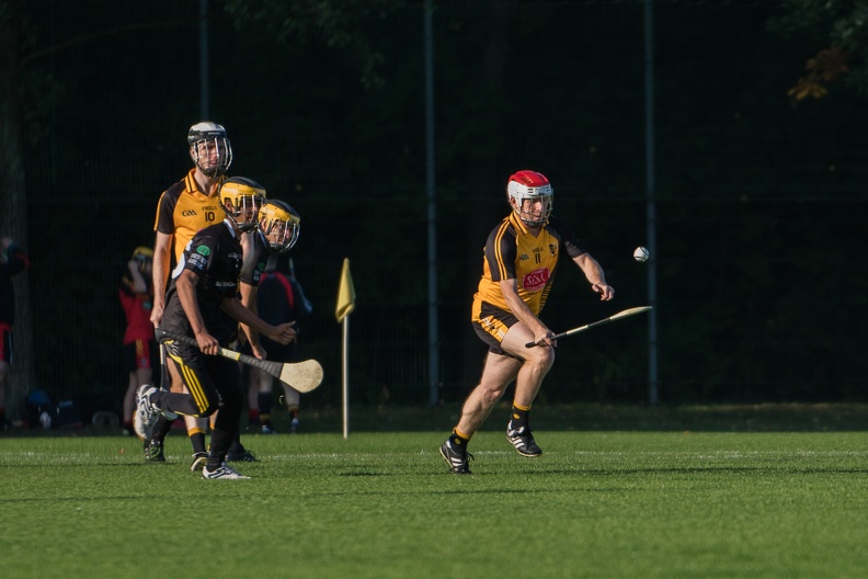 Hurling-Dresden-2017-13.jpg