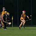 Hurling-Dresden-2017-13