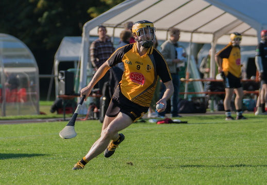 Hurling-Dresden-2017-14