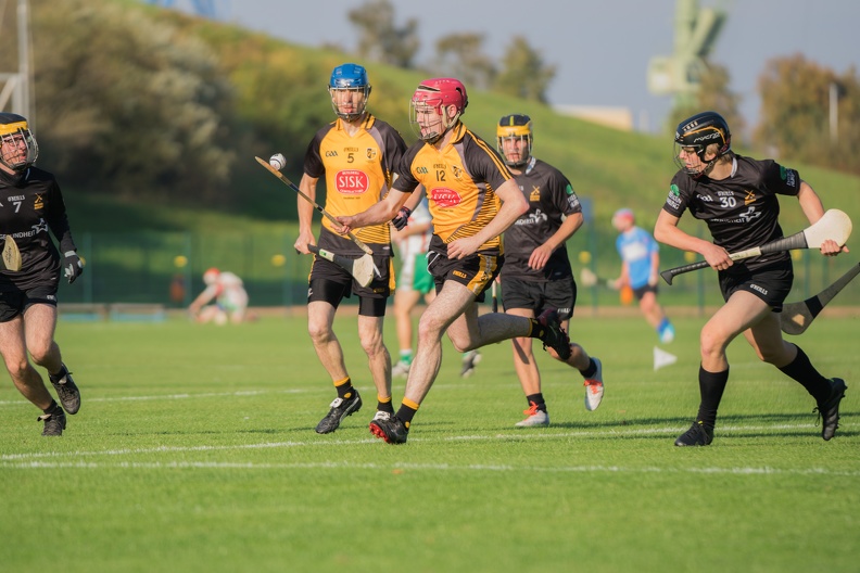 Hurling-Dresden-2017-15.jpg