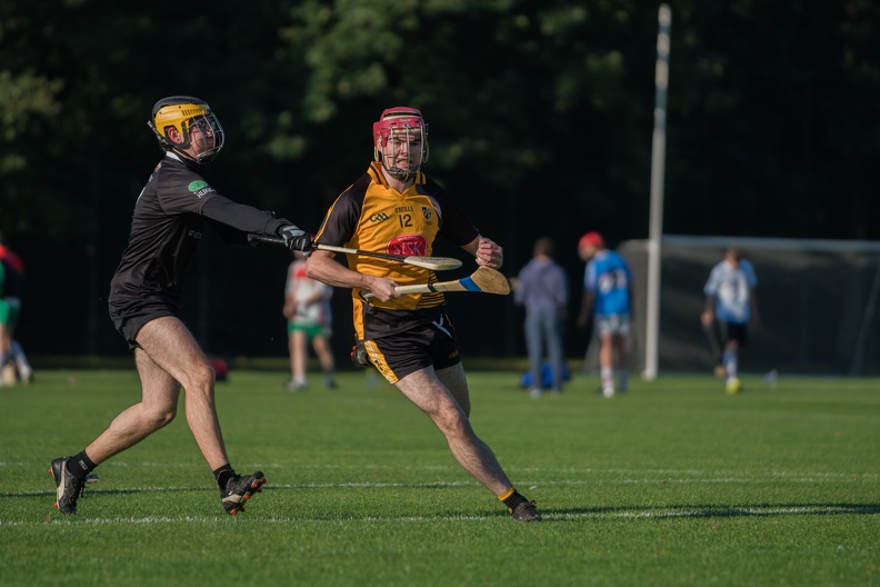 Hurling-Dresden-2017-16 - Hurling-Dresden-2017-16.jpg Hurling-Dresden-2017-16.jpg