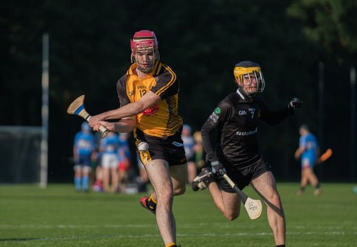 Hurling-Dresden-2017-17