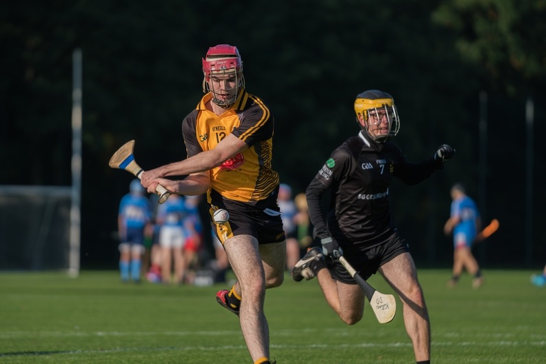 Hurling-Dresden-2017-17.jpg