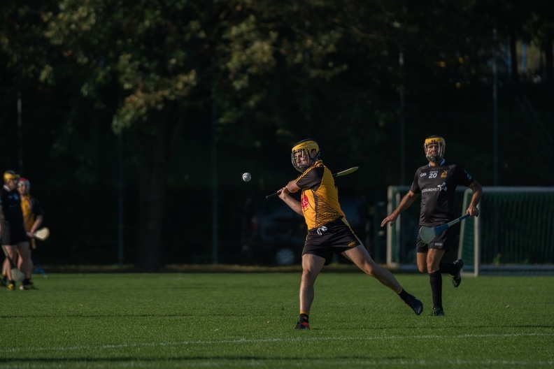 Hurling-Dresden-2017-18.jpg