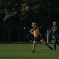 Hurling-Dresden-2017-18