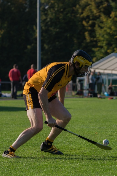 Hurling-Dresden-2017-19.jpg