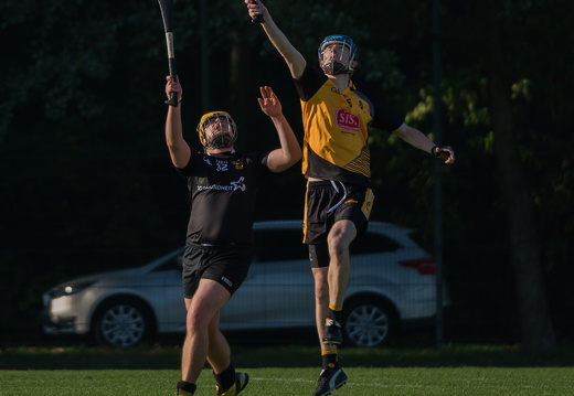 Hurling-Dresden-2017-20