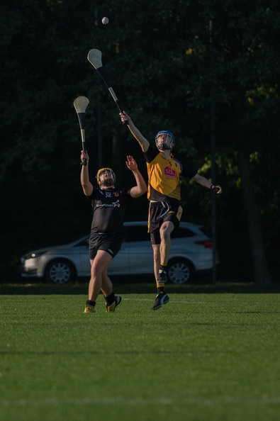 Hurling-Dresden-2017-20 - Hurling-Dresden-2017-20.jpg Hurling-Dresden-2017-20.jpg