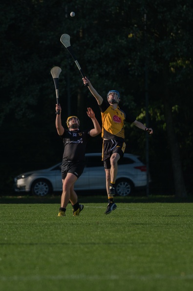 Hurling-Dresden-2017-20.jpg