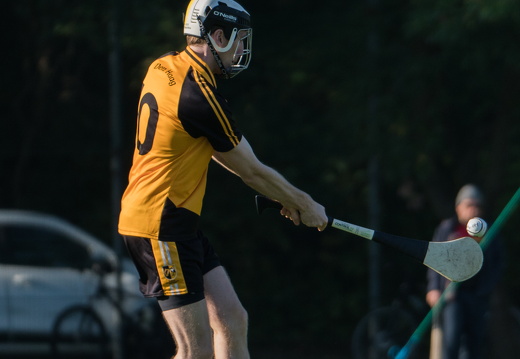 Hurling-Dresden-2017-21