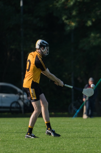 Hurling-Dresden-2017-21.jpg