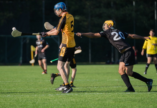 Hurling-Dresden-2017-22