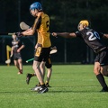 Hurling-Dresden-2017-22