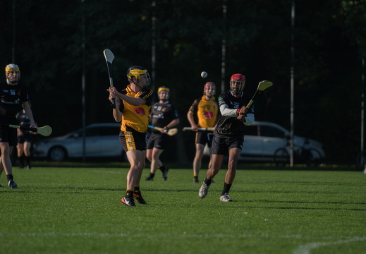 Hurling-Dresden-2017-24