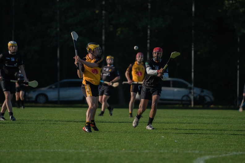 Hurling-Dresden-2017-24.jpg