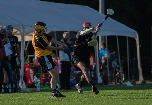 Hurling-Dresden-2017-25