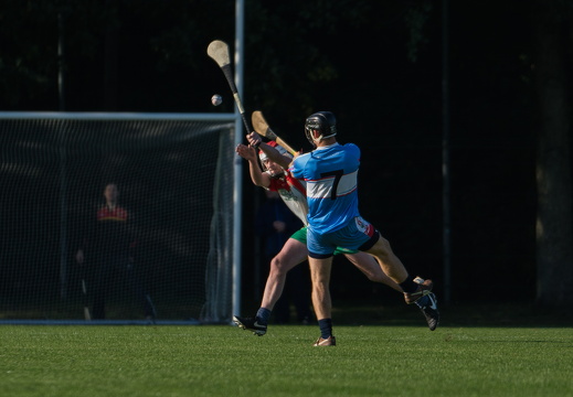 Hurling-Dresden-2017-29