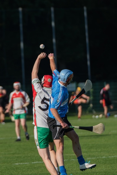 Hurling-Dresden-2017-31.jpg