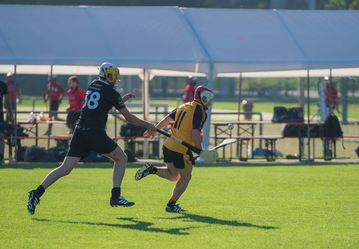Hurling-Dresden-2017-43