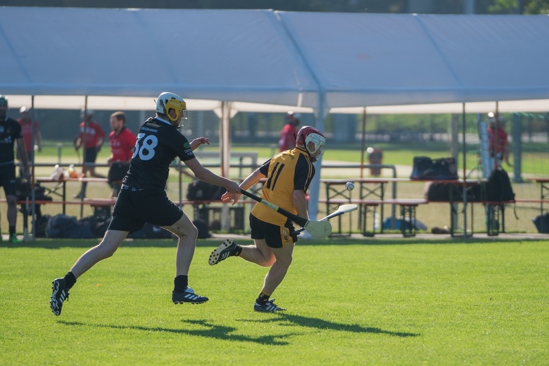 Hurling-Dresden-2017-43.jpg