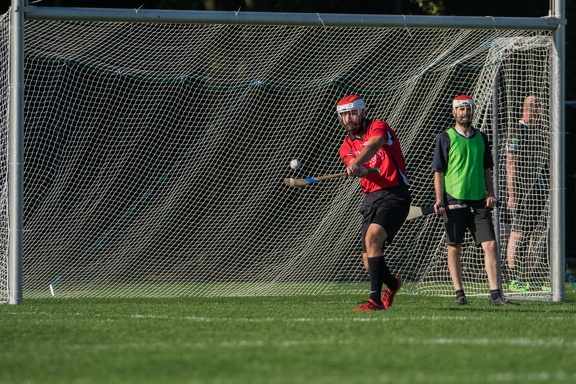 Hurling-Dresden-2017-60