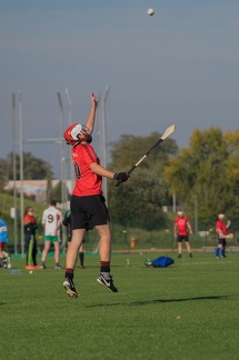 Hurling-Dresden-2017-65