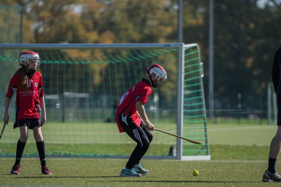 Hurling-Dresden-2017-86