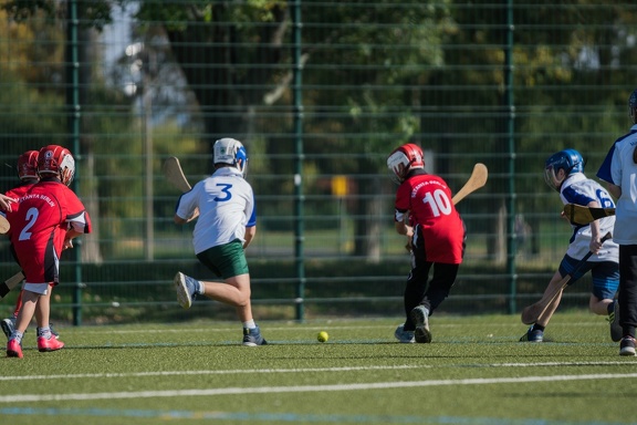 Hurling-Dresden-2017-89