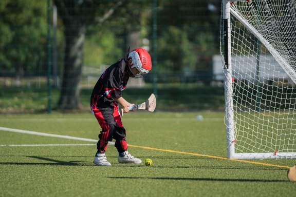 Hurling-Dresden-2017-98