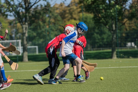 Hurling-Dresden-2017-104