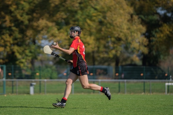 Hurling-Dresden-2017-143