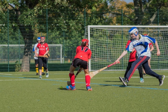 Hurling-Dresden-2017-166