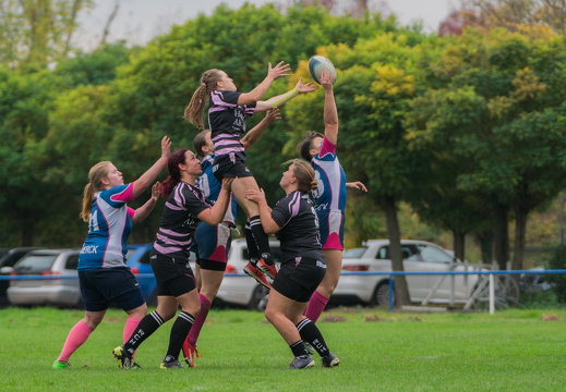 Rugby-7ers-Darmstadt-16