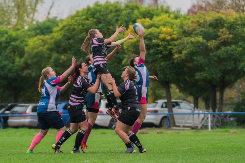 Rugby-7ers-Darmstadt-16