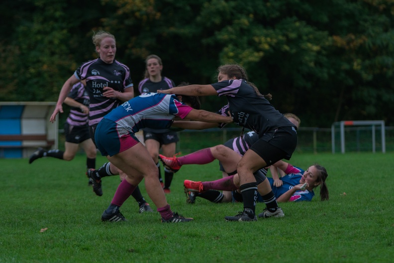 Rugby-7ers-Darmstadt-35