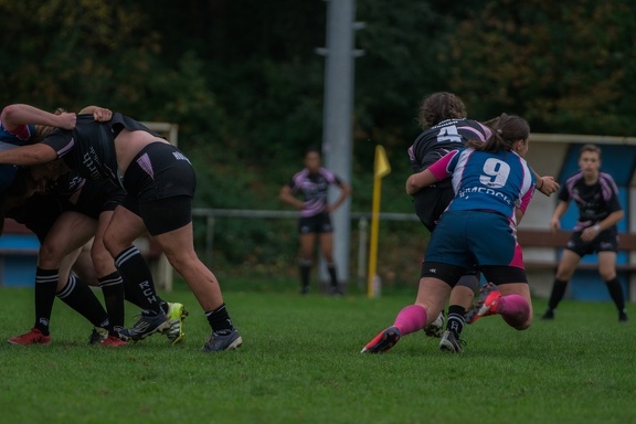 Rugby-7ers-Darmstadt-39