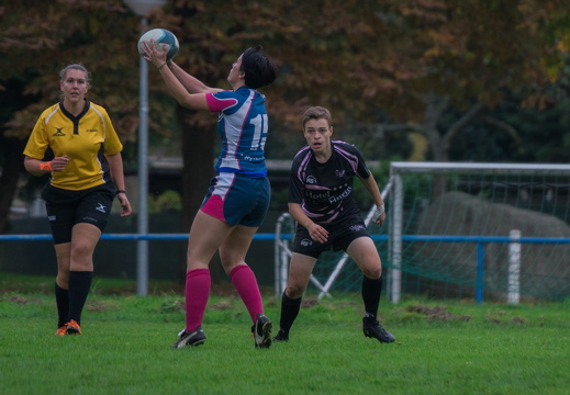 Rugby-7ers-Darmstadt-43