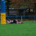 Rugby-7ers-Darmstadt-113