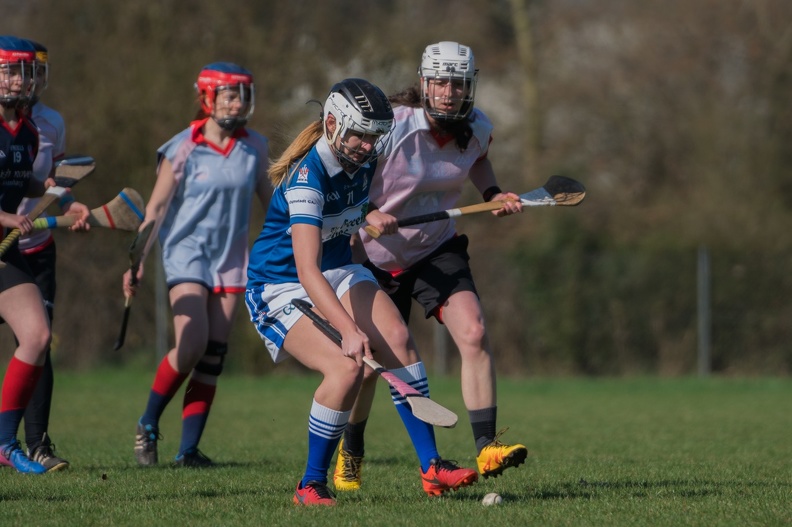 CHC and SRB 2018-5 - CHC_and_SRB_2018-5.jpg CHC_and_SRB_2018-5.jpg