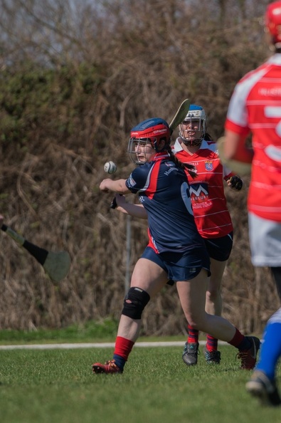 CHC and SRB 2018-62 - CHC_and_SRB_2018-62.jpg CHC_and_SRB_2018-62.jpg