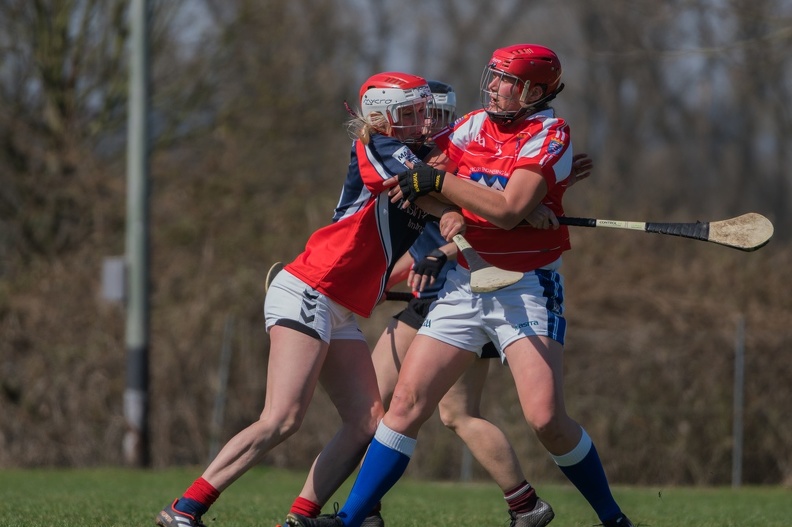 CHC and SRB 2018-66 - CHC_and_SRB_2018-66.jpg CHC_and_SRB_2018-66.jpg