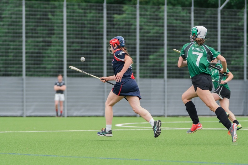 Hamburg Hurling-2