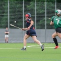 Hamburg Hurling-2