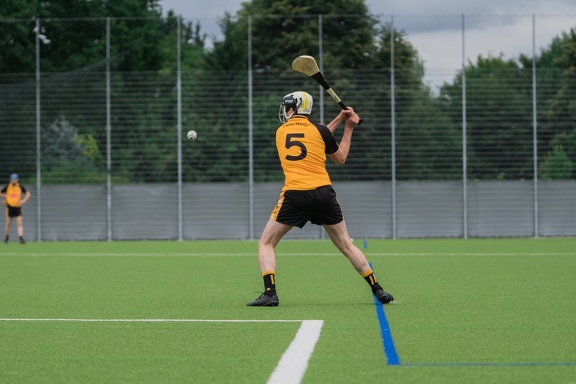 Hamburg Hurling-5