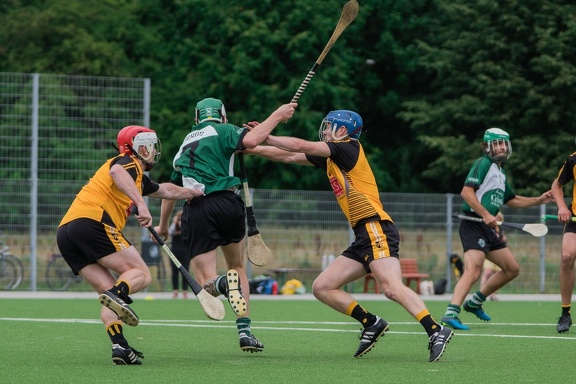 Hamburg Hurling-6