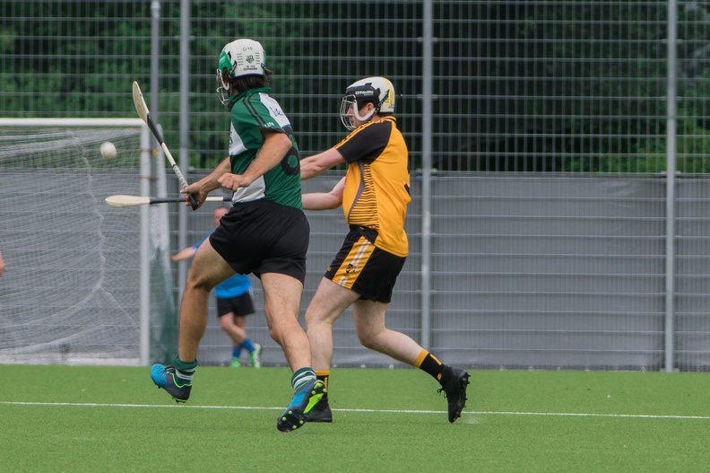 Hamburg Hurling-10